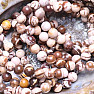 Jasper zebra bracelet extra beaded 8 mm