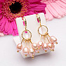 Earrings with gold-plated plum-colored pearls