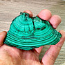 Malachite polished slice 16