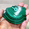 Malachite polished slice 17