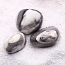 Mussel stone fossil jasper