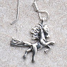 Earrings Hobby silver Ag 925