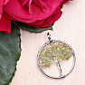 Prehnit Tree of Life pendant 3 cm