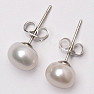 Pearl white stud earrings