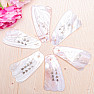 Gua sha made of mussel fin shape with Chinese characters 10 cm