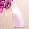 Gua sha made of mussel fin shape