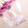 Gua sha made of mussel fin shape