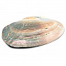 Mother of pearl polished smoking bowl