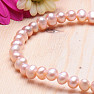 Women&#39;s pearl bracelet plum pearl 5 mm