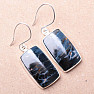 Pietersit earrings silver Ag 925 E651