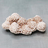 Desert rose - gypsum Tunis 2