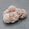 Desert rose - gypsum Tunis 8