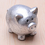 Piggy bank for lucky silver shiny