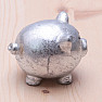 Piggy bank for lucky silver shiny