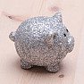 Piggy bank for lucky silver matte