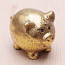 Piggy bank for lucky golden shiny