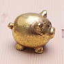 Piggy bank for lucky golden shiny