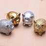 Piggy bank for lucky golden shiny