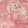 Rhodochrosite Stalactite Cut Argentina 1