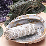 White sage and sage blue smoking bundle 10 cm