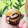 Septaria polished ball Madagascar 2