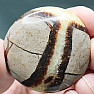 Septaria Madagascar tumbled 18