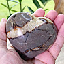 Polished septaria Madagascar large Heart P8-1