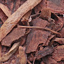 Styrax bark