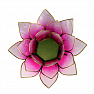 Candlestick lotus dark pink