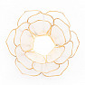 Candlestick lotus open flower white