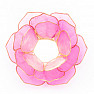 Candlestick lotus open flower pink