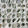 Green tourmaline - raw Mozambique verdelite