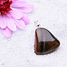 Tiger eye tambled pendant