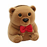 Velvet gift box Brown bear