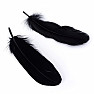 Goose feather for smoking black 16 cm