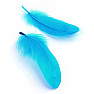 Goose feather for smoking turquoise 16 cm