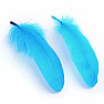 Goose feather for smoking turquoise 16 cm