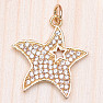 Big star pendant in gold cubic zirconia