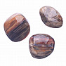 Petrified wood drummed Brazil