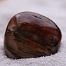 Petrified wood drummed Brazil