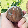 Petrified Wood Sphere Madagascar 3