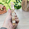 Petrified wood polished cut 5