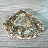 Petrified wood polished cut 8