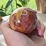 Petrified Wood Sphere Madagascar 11