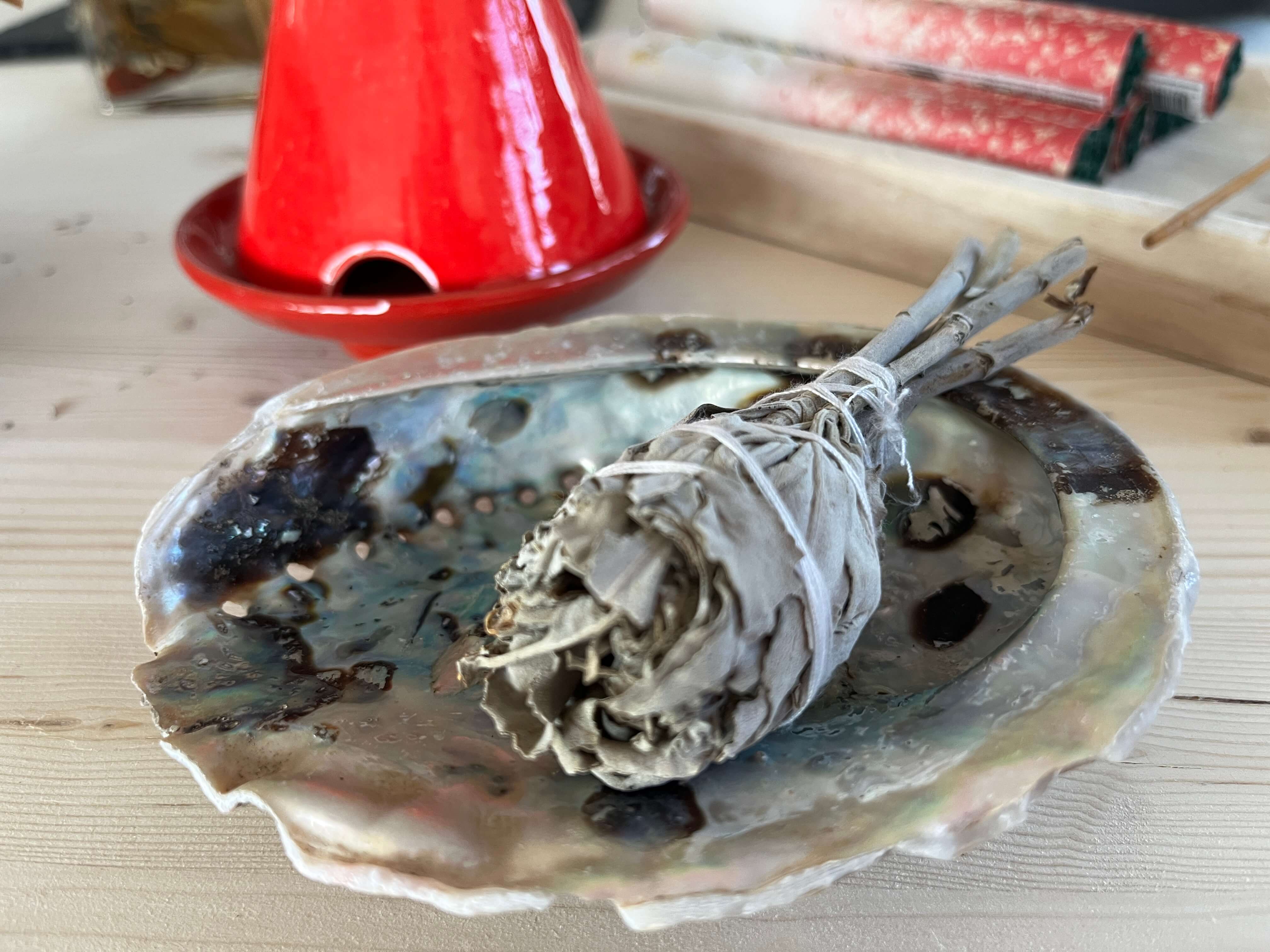 Shamanic bundle of sacred white sage